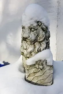 Statuary Prints: Bavarian stone lion in the snow, Munich, Bavaria, Germany, Europe