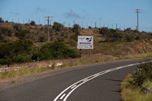 Images Dated 5th April 2011: baviaans kloof, billboard, color image, country road, curve, day, eastern cape, field