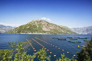 Images Dated 25th August 2015: Bay of Kotor