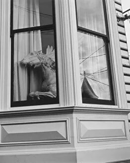 Bay window with horse statue in it