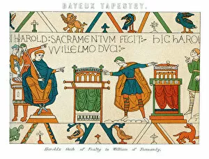 Concepts And Ideas Collection: Bayeux Tapestry - Harold's Oath