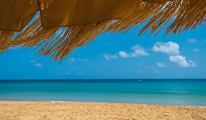 Images Dated 25th August 2015: Bbrazilian sunshade