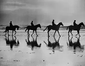 Racehorse Gallery: On The Beach