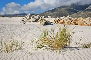 Bettys Bay Prints: beach, beauty in nature, bettys bay, cloud, day, grass, hill, horizon, horizon over land