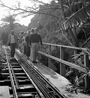 Beach Boys At Pacific Ocean Park With Fans