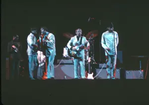 Beach Boys Perform With Bruce Johnston