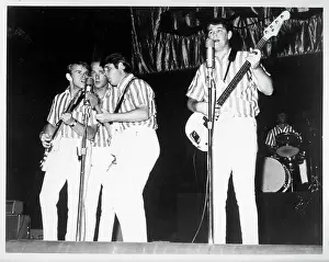 Beach Boys Performing