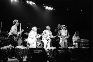 California Dreaming: Iconic Beach Boys Moments Captured in Time: Beach Boys Performing
