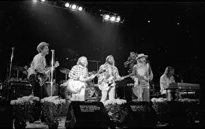 California Dreaming: Iconic Beach Boys Moments Captured in Time: Beach Boys Performing