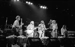 California Dreaming: Iconic Beach Boys Moments Captured in Time: Beach Boys Performing