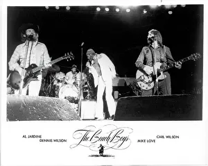 California Dreaming: Iconic Beach Boys Moments Captured in Time: Beach Boys Performing