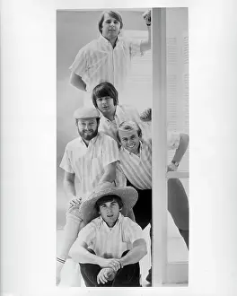 Beach Boys Portrait