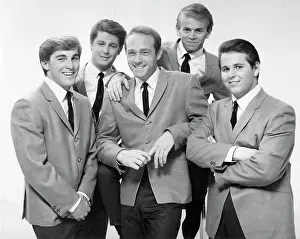 Beach Boys Portrait