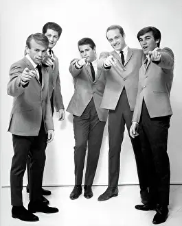 Beach Boys Portrait