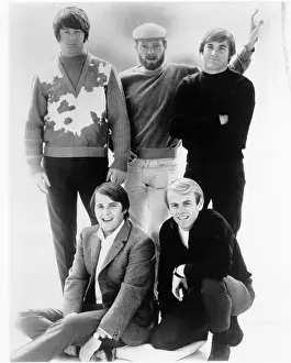 Beach Boys Portrait