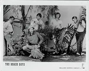 Beach Boys Portrait