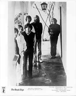 Beach Boys Portrait