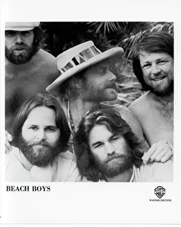 California Dreaming: Iconic Beach Boys Moments Captured in Time: Beach Boys Portrait