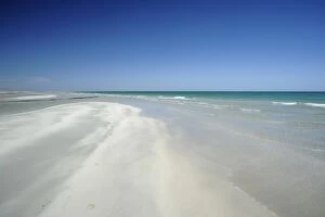 Beach on Djerba island, Tunisia, Maghreb, North Africa, Africa