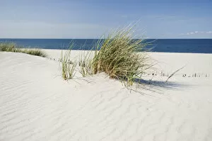 Sandy Beach Gallery: Beach, List, Sylt island, Schleswig-Holstein, Germany, Europe
