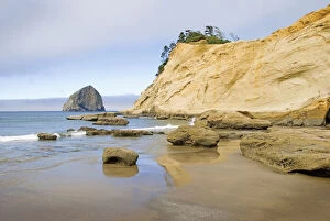 Design Pics Gallery: Beach On The Oregon Coast