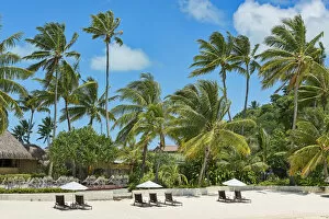Images Dated 14th March 2013: Beach with palm trees, Bora Bora, French Polynesia