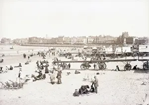 Sunbathing Prints: Beach Scene/Bathing Cars Lined Up