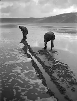 Beachcombers