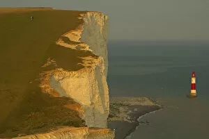 Images Dated 19th July 2017: Beachy Head, East Sussex, United Kingdom