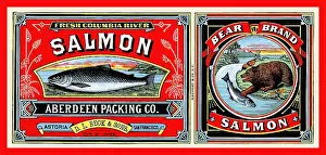 Salmon Prints: Bear Brand Salmon
