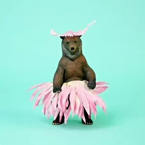 Images Dated 4th September 2017: Bear in Flower Skirt