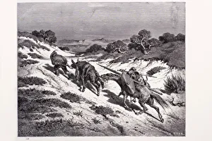 Castilla La Mancha Gallery: The beaten knight and his squire