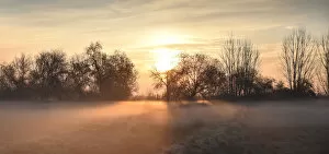 At The Edge Of Gallery: Beautiful field covered by morning mist