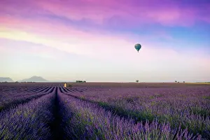 Lavender Dreams: A Journey Through Violet Fields: Beautiful morning behind the hills
