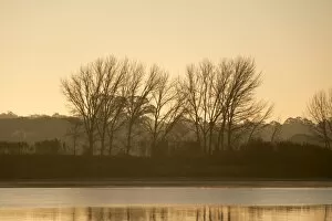 Images Dated 26th December 2016: Beautiful sunrise by the river