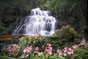 Beautiful waterfall with pink snapdragon flower in foreground, Mun dang waterfall at Phu Hin Rong Kla National Park, Petchaboon province, Thailand