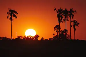 Beauty In Nature, Clear Sky, Evening, Horizon, Hwange, Hwange National Park, National Park
