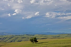 Images Dated 22nd December 2009: beauty in nature, cloud, day, drakensberg mountain range, eastern cape province, foothill
