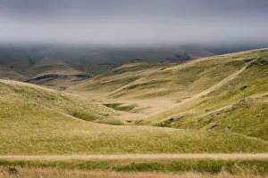Beauty In Nature, Drakensberg, Fog, Grass, Green, Hill, Landscape, Nature, Non-Urban Scene