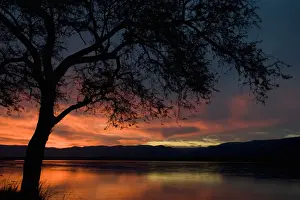 beauty in nature, horizontal, idyllic, lake, landscape, mana pools national park