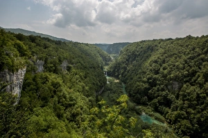 Images Dated 4th August 2015: The beauty of nature in Plitvice Lakes