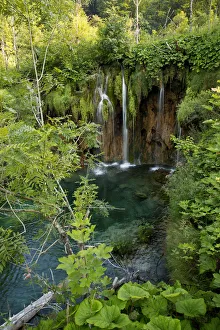 Images Dated 4th August 2015: The beauty of nature in Plitvice Lakes