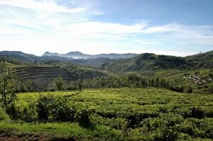 Western Ghats Collection: The beauty of Nilgiris countryside