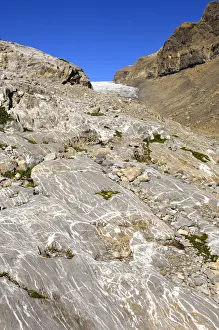 Images Dated 11th August 2011: Bedrock polished smoothly by glacial ice below the Tsanfleuron Glacier, Valais, Switzerland, Europe
