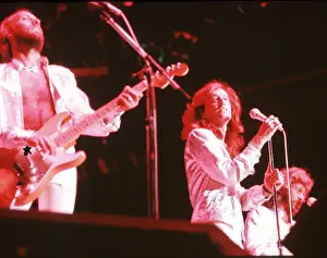 The Bee Gees
