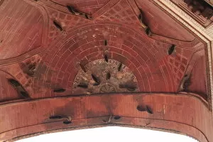 Bee hives inside the dome at Fatehpur Sikri