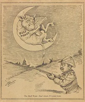 Roosevelt Prints: The Beef Trust