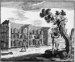 Beehive Prints: Beekeeper And Child With Bees