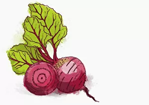 Images Dated 11th October 2016: beetroot, colour, green, homegrown, nobody