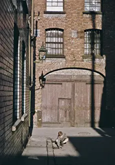 Crouching Prints: Belfast Boy